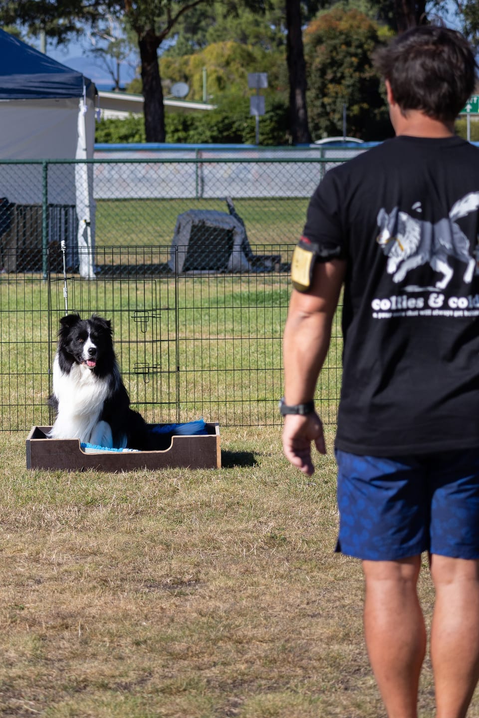 Customer photo review of Collies & Coldies Tee