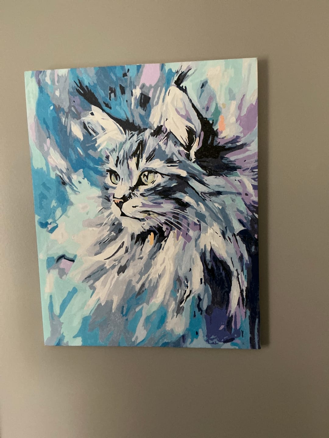 Customer photo review of Abstract Maine Coon