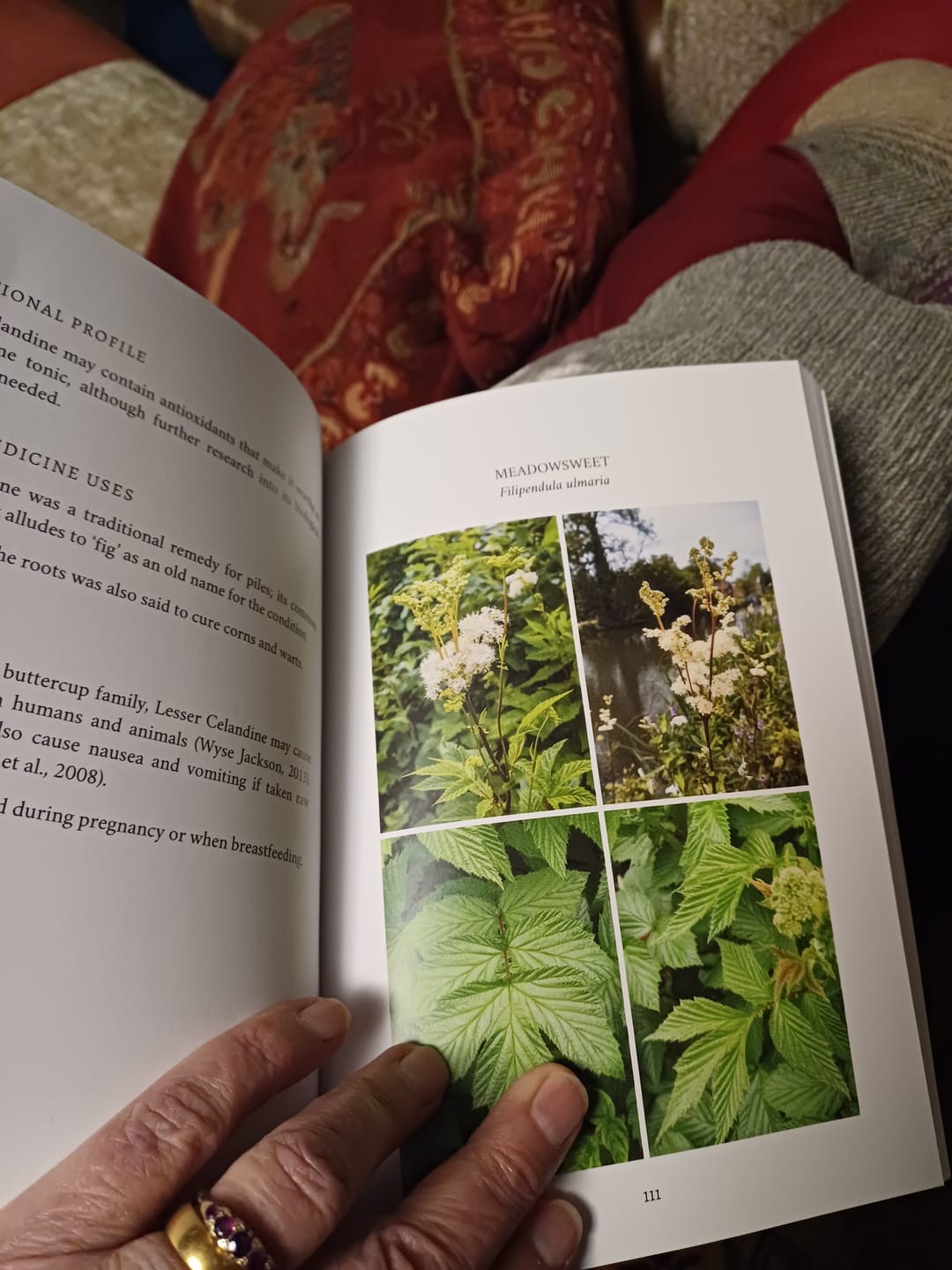 Customer photo review of Edible and Medicinal Wild Plants of Britain and Ireland