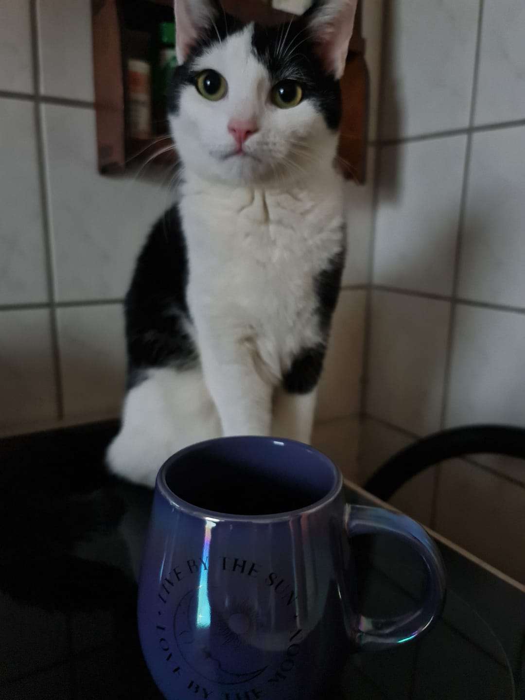 Customer photo review of Sonne & Mond Tasse – Mystischer Schimmer für magische Momente