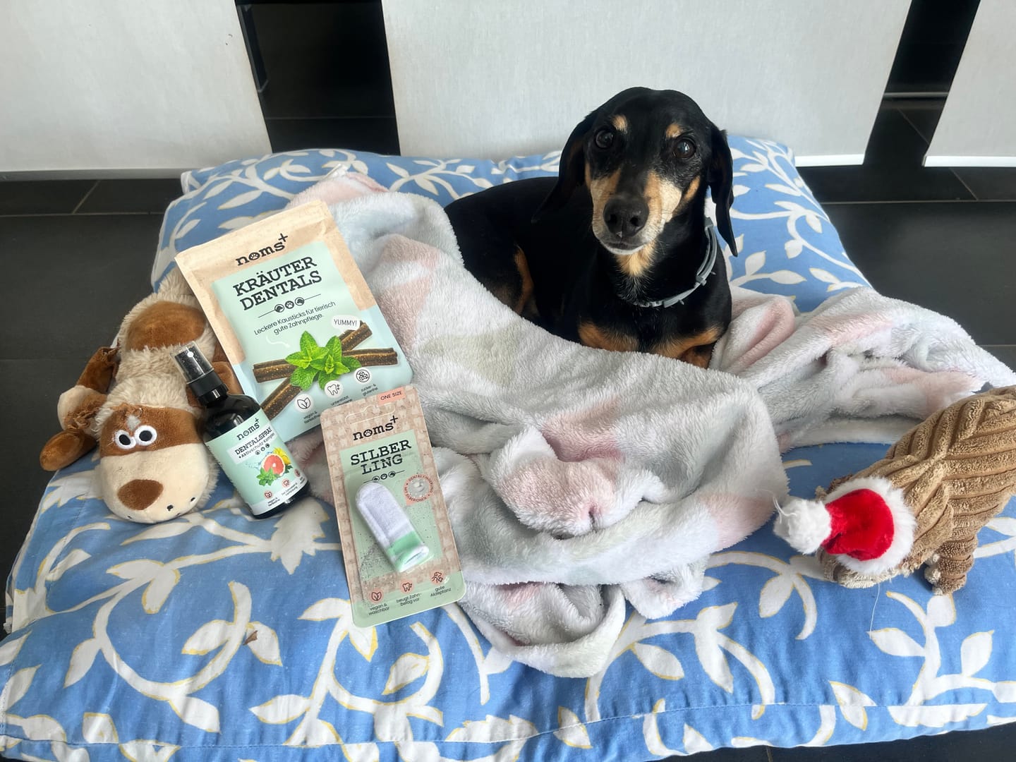 Customer photo review of Kräuter Dentals für Hunde zur Zahn- und Darmpflege (150g)