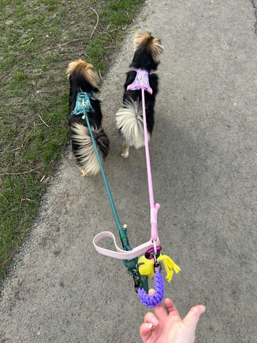 Customer photo review of Disney© Tough Trails™ Harness - Jungle Book