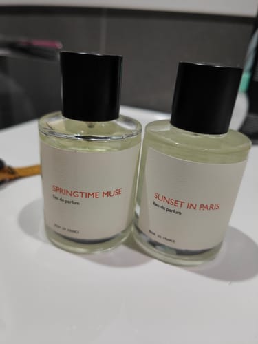 Customer photo review of Sunset in Paris