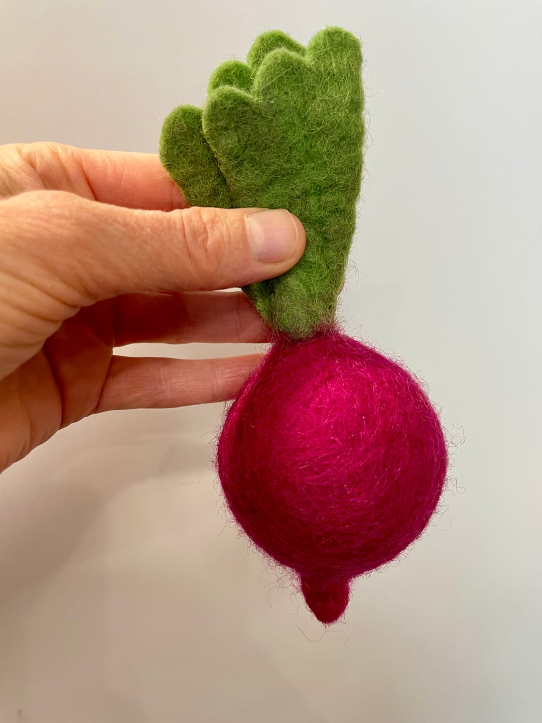 Customer photo review of Felt Vegetables and Fruits - Pick and Choose
