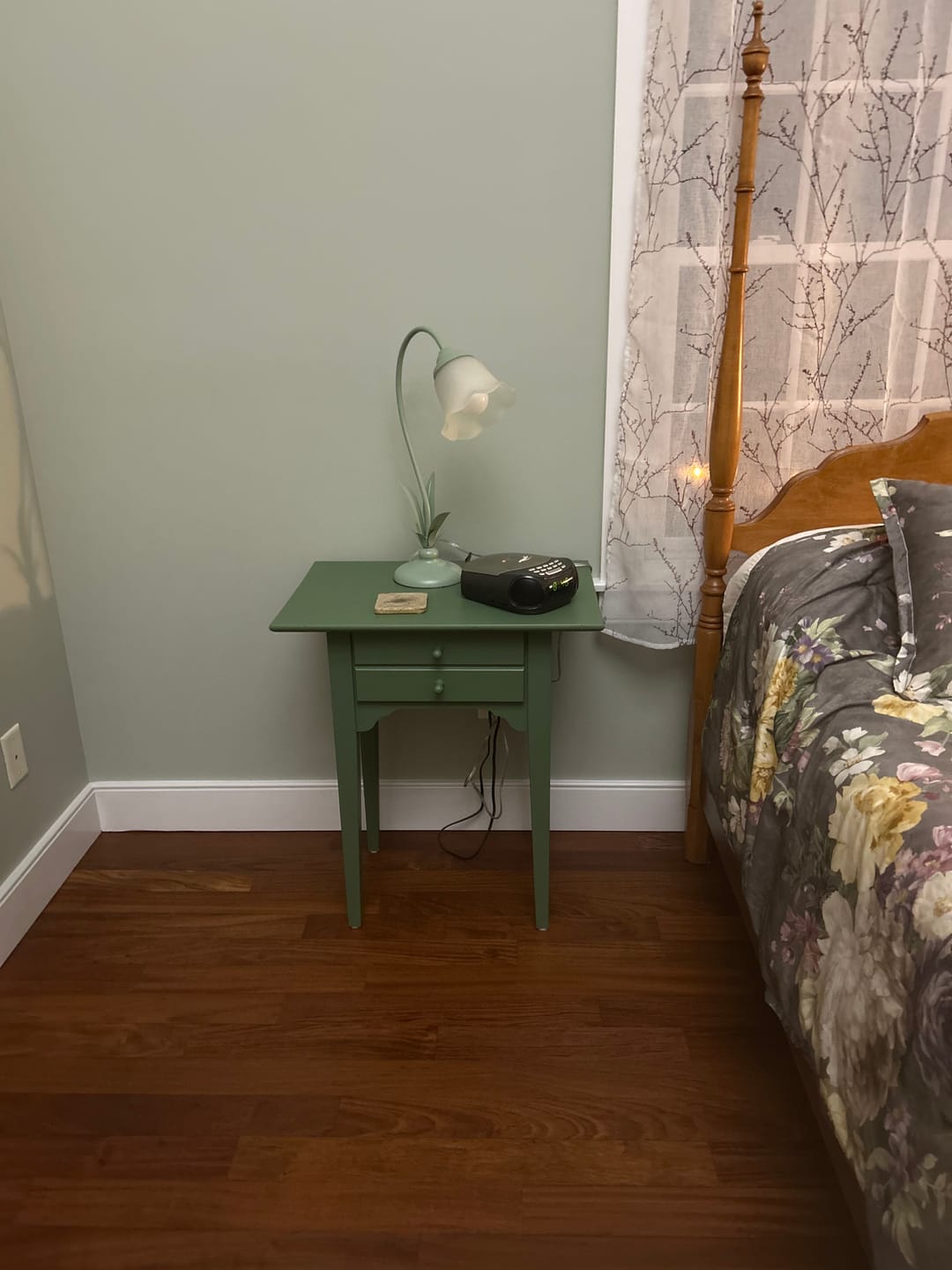 Customer photo review of Miracle Paint - English Boxwood (32 oz.)