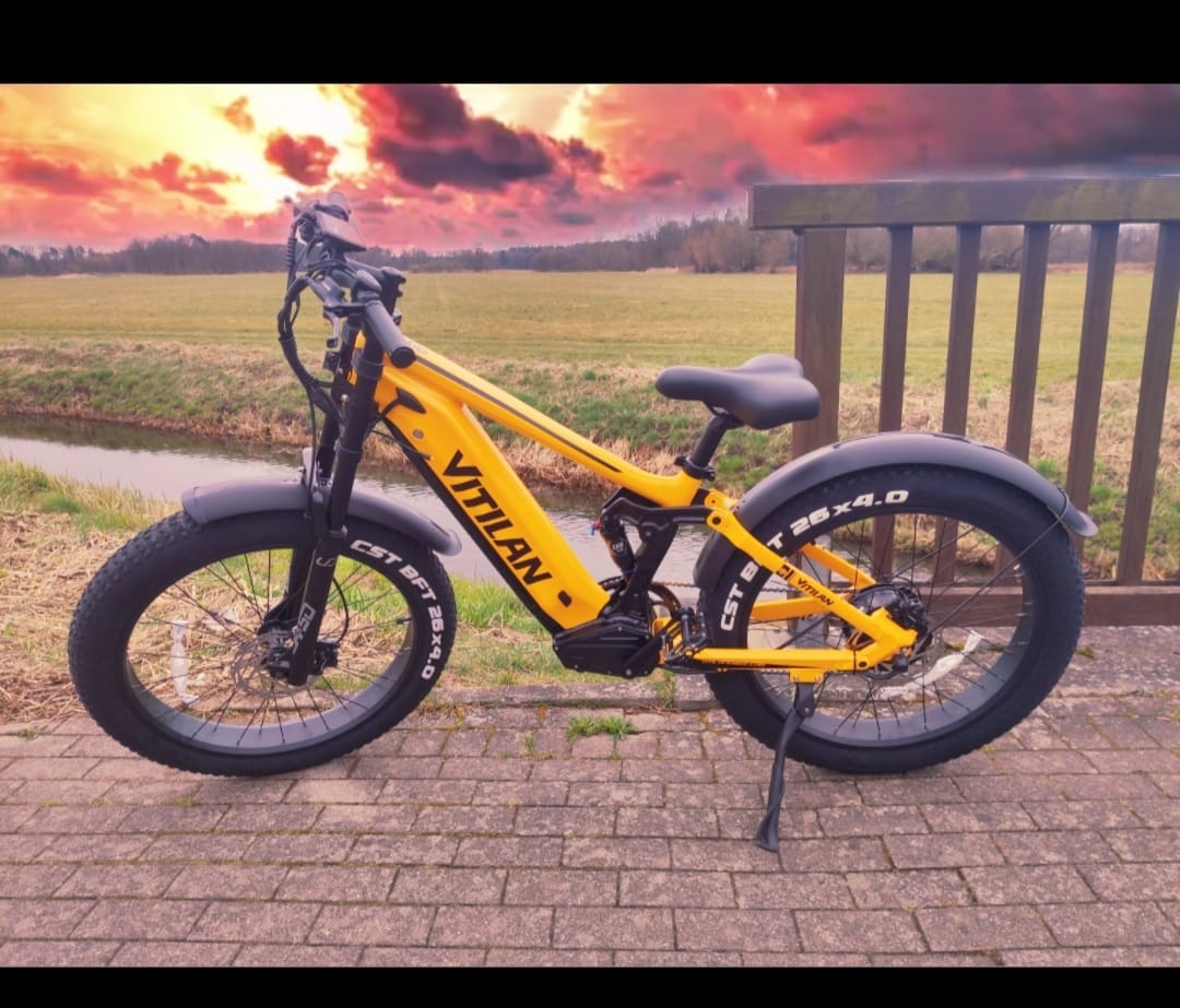 Customer photo review of T7 Full Suspension Mountain E-bike