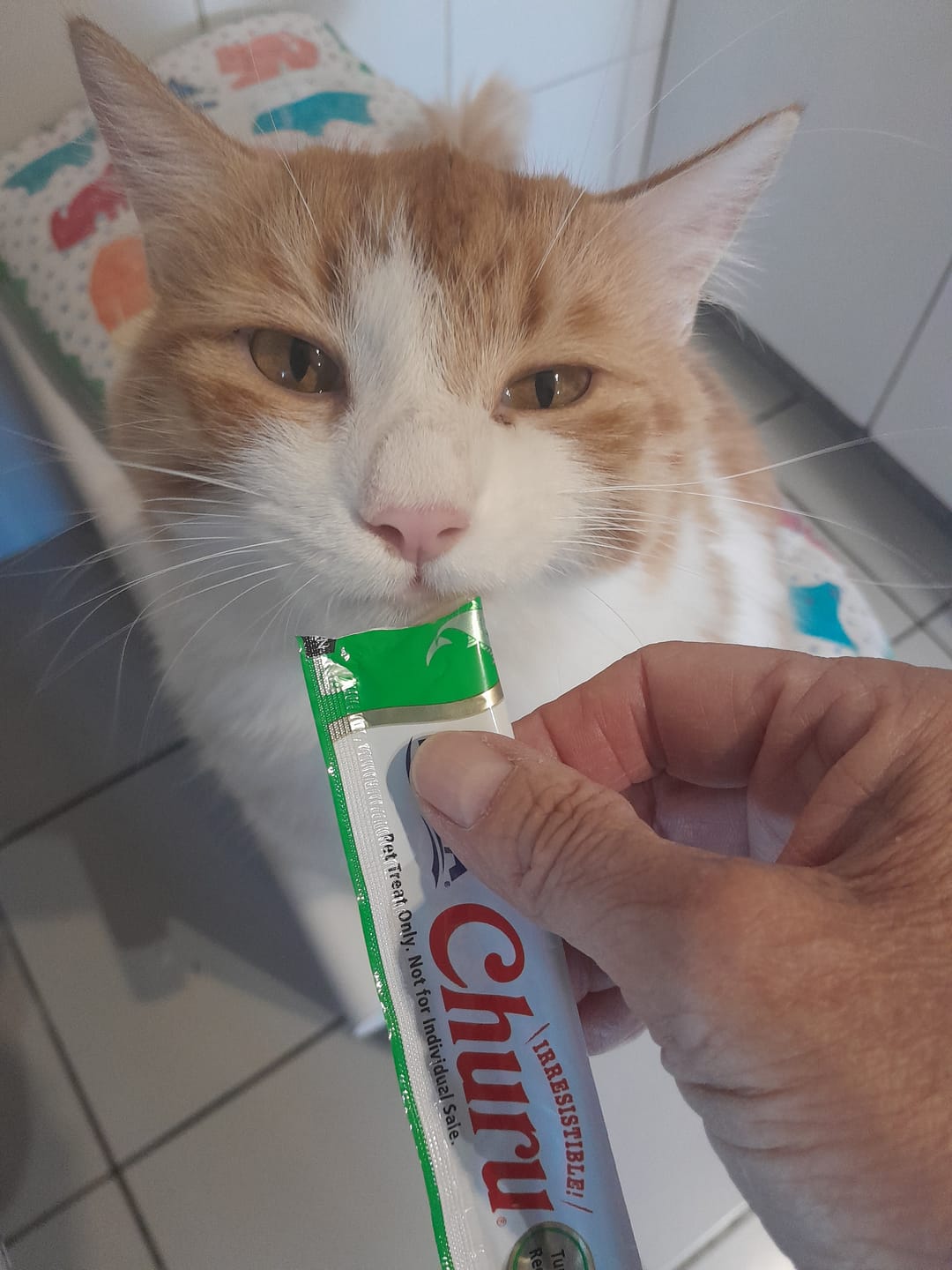 Customer photo review of CHURU VARIETIES TUNA 50P FRASCO 700GR