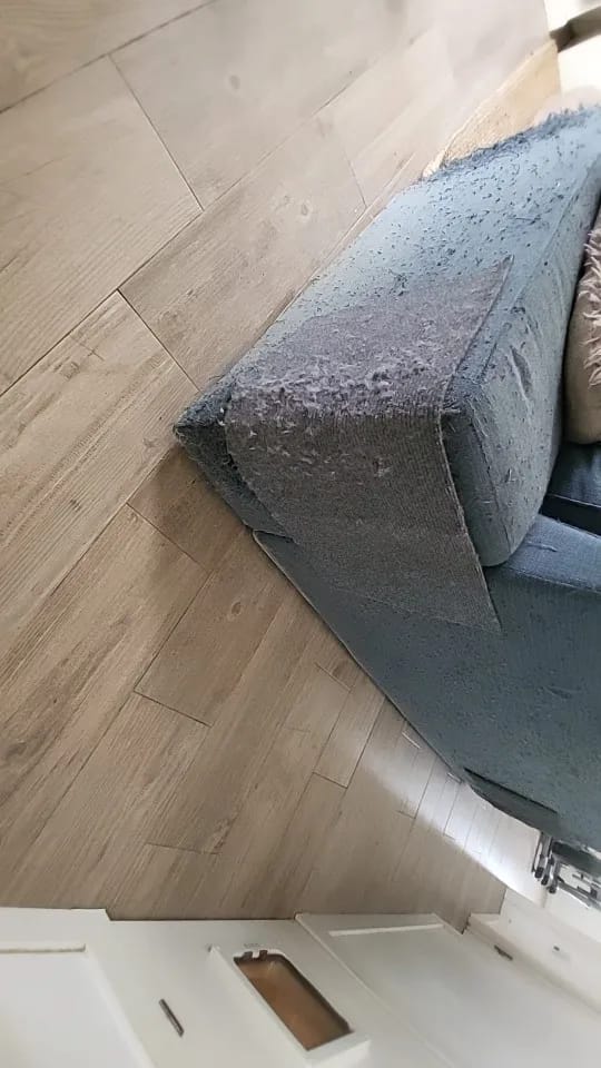 Customer photo review of Multifunctional Cat Scratching Carpet
