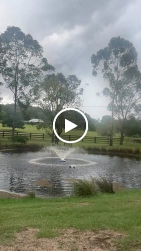 Customer video review of REEFE RFA240 1HP Pond & Dam Aerator 60,000L/h - Improve Water Quality in Ponds & Dams