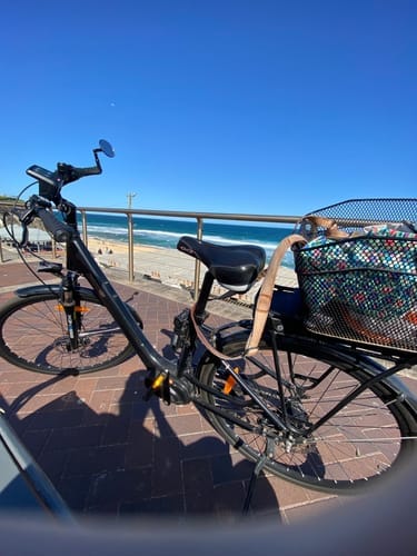Customer photo review of 36V 11.6Ah 396Wh Phylion Joycube eBike Battery JCEB360-11.6-K XDS Velectrix