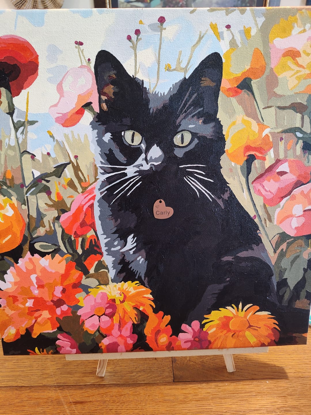 Customer photo review of Sunny Feline