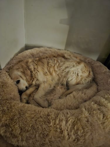 Customer photo review of CalmBed - Motverkar stress & hjälper mot ångest