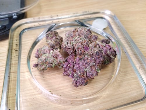 Customer photo review of Purple Trainwreck - 4 Grams - Sativa