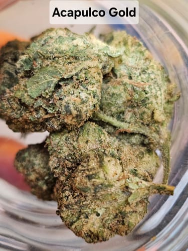 Customer photo review of Gold Spectrum THCA Flower (Top) - Acapulco Gold