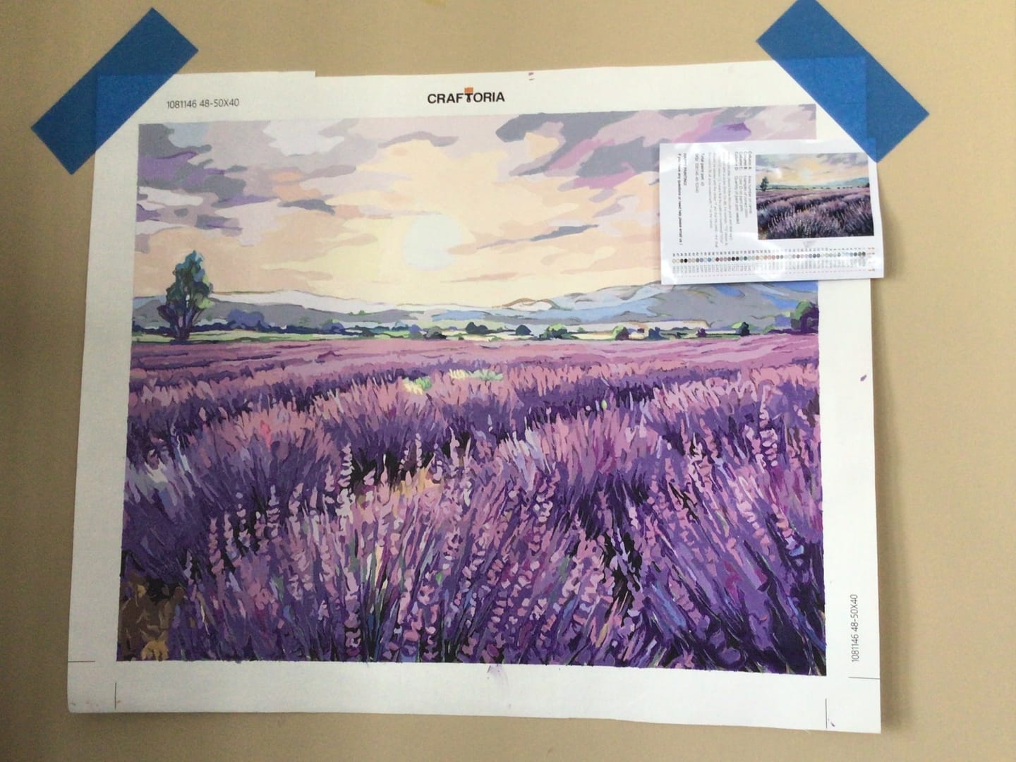 Customer photo review of Lavender Breeze