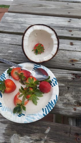 Customer photo review of Sour Green Apple 3000mg THC Blend Vegan Gummies 30 CT