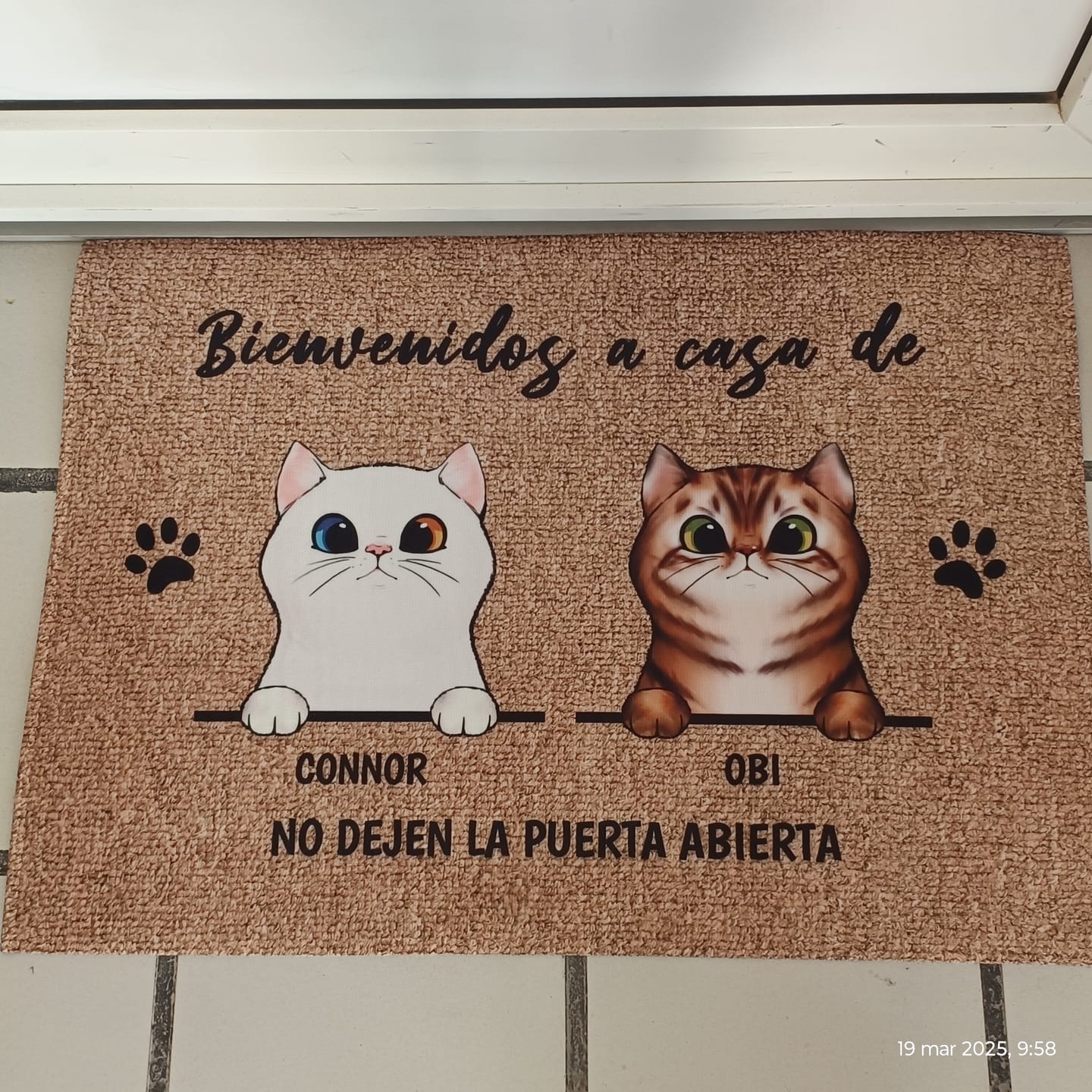 Customer photo review of Bienvenidos a lo de gatos curiosos - Felpudo personalizado