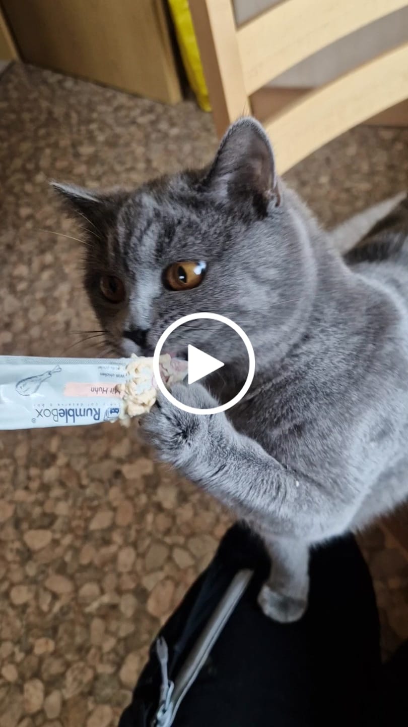 Customer video review of 70% Thunfisch Schleckies 5x15g