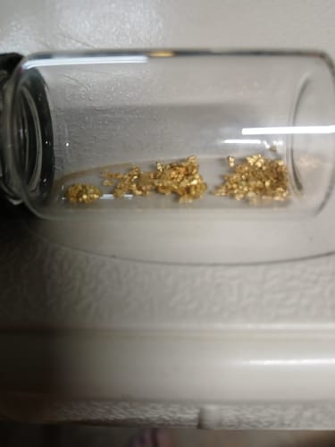 Customer photo review of 5 Lb. NUGGET RESERVE™ ‘Specimen Elite’ - Gold Paydirt