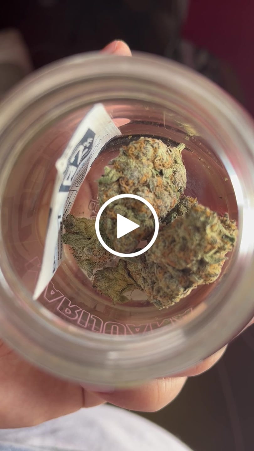 Customer video review of Exotic Smalls