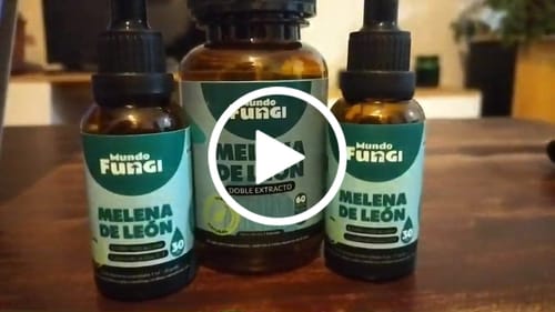 Customer video review of Melena de León Cápsulas + Gotas - Extracto Ultra Concentrado