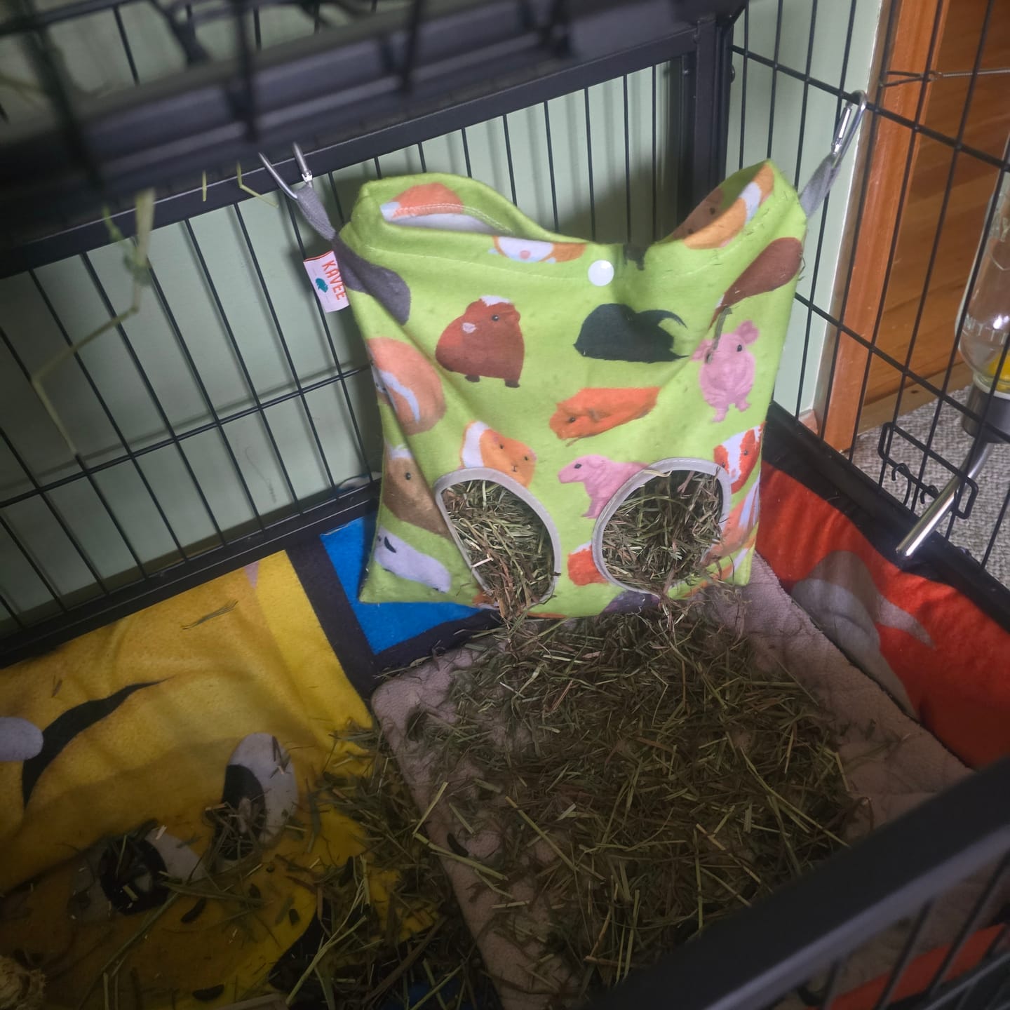Customer photo review of Hay Bag | Piggy Mania