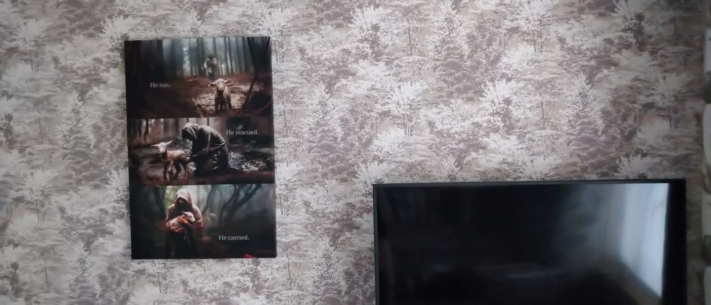 Customer photo review of He Ran, He Rescued, He Carried, Jesus and Lost Sheep, Wall Art Canvas