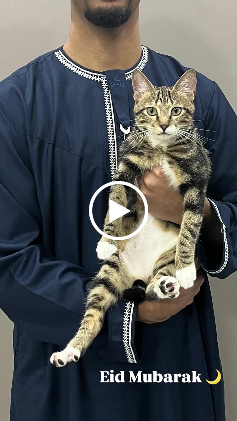 Customer video review of Luxury Navy & White Omani Thobe