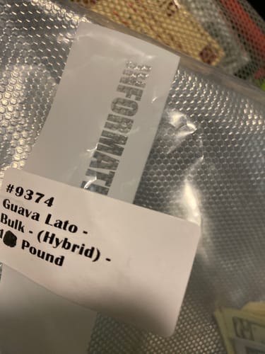 Customer photo review of Guava Lato - Bulk - (Hybrid)