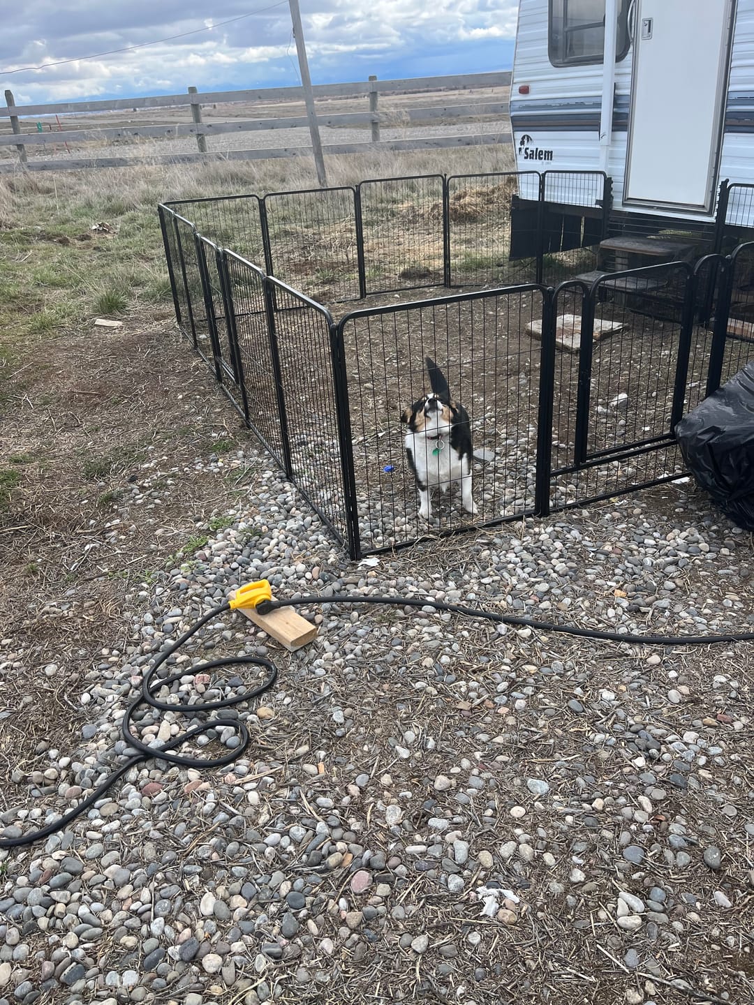 Customer photo review of RV Step Grid - Dog Barrier for RV Stairs
