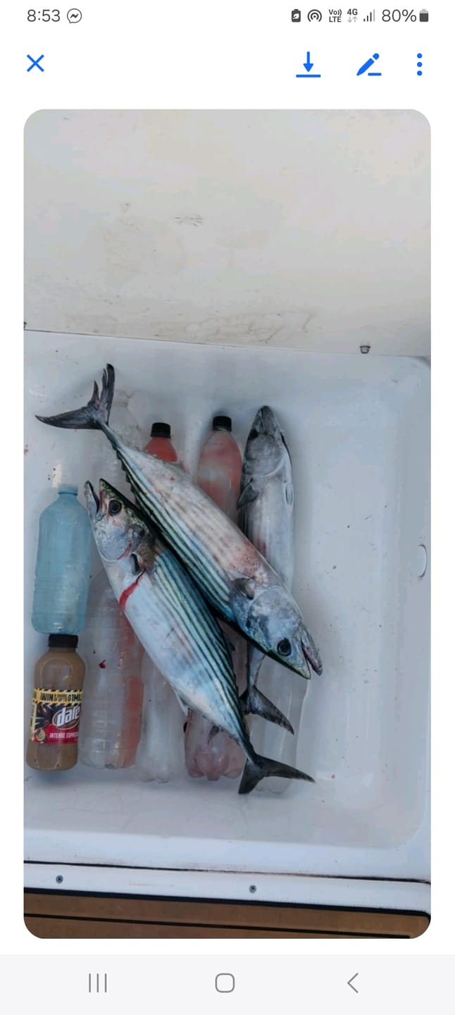 Customer photo review of DEATH TAIL
