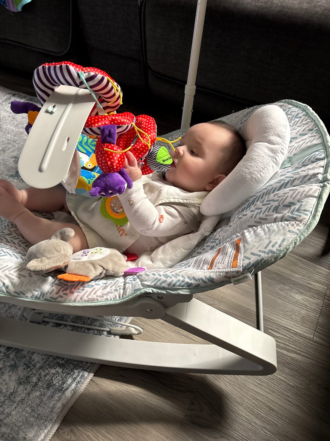 Customer photo review of Premium Add On