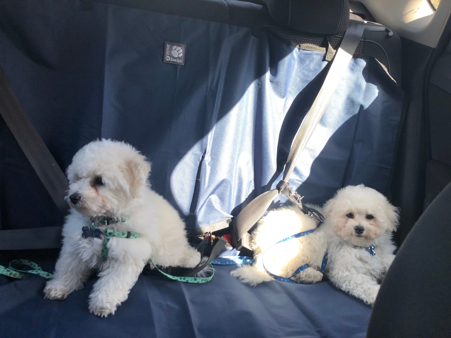 Customer photo review of Danish Design Waterproof Car Seat Cover