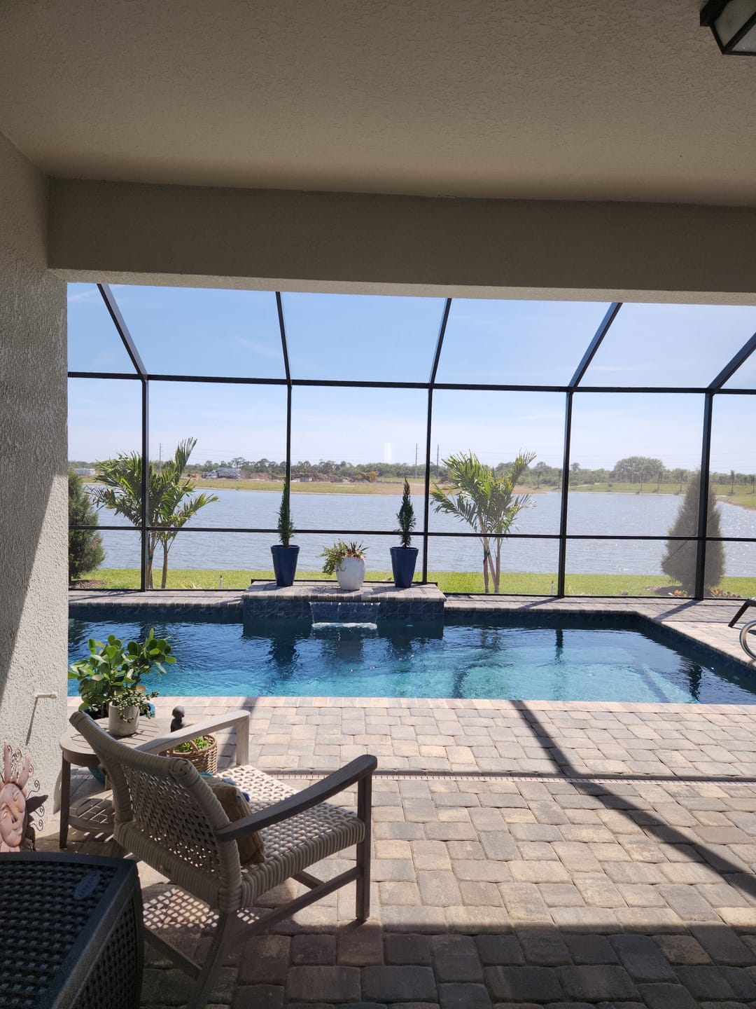 Customer photo review of Dwarf Italian Cypress, Mediterranean Cypress