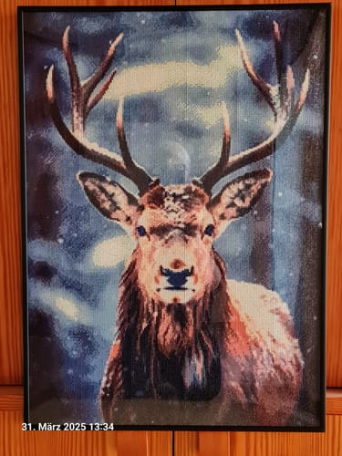 Customer photo review of 5D Diamond Painting Hirsch
