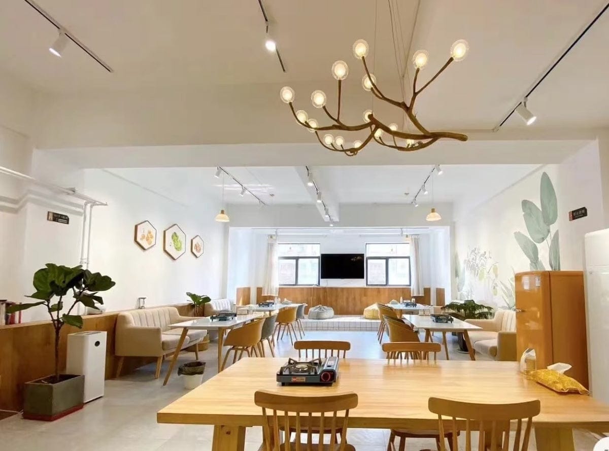 Customer photo review of Rustic Tree Branch Chandelier, Dimmable