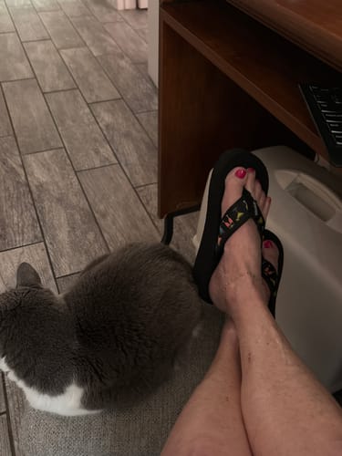 Customer photo review of Sip Sip Hooray