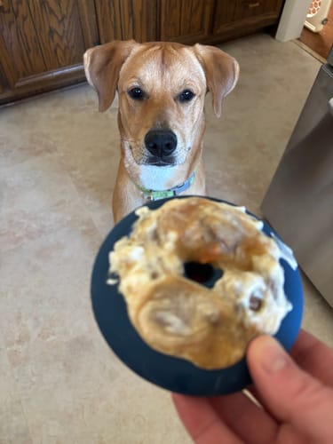 Customer photo review of Freez Doughnut - Super Durable Treat Toy