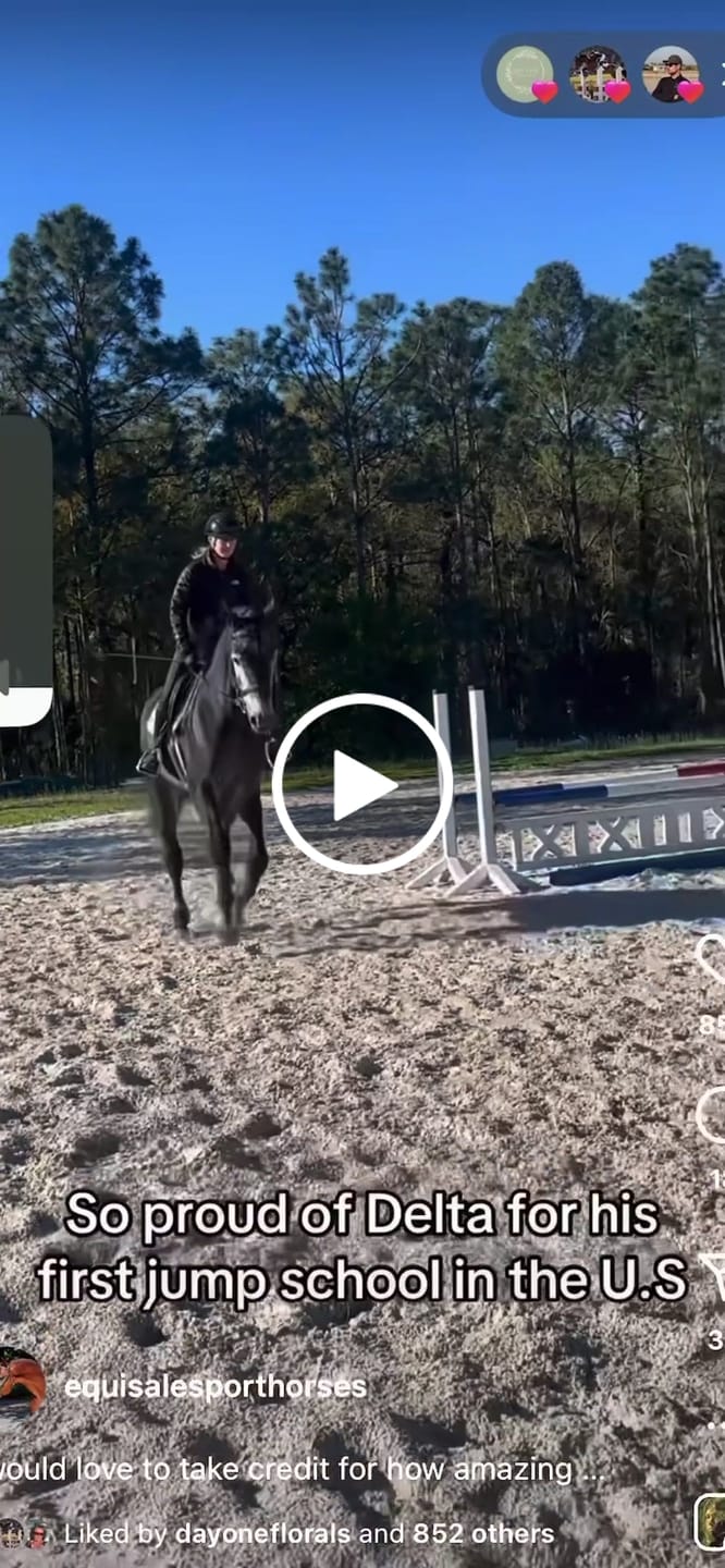 Customer video review of Sculpt Zip Breech