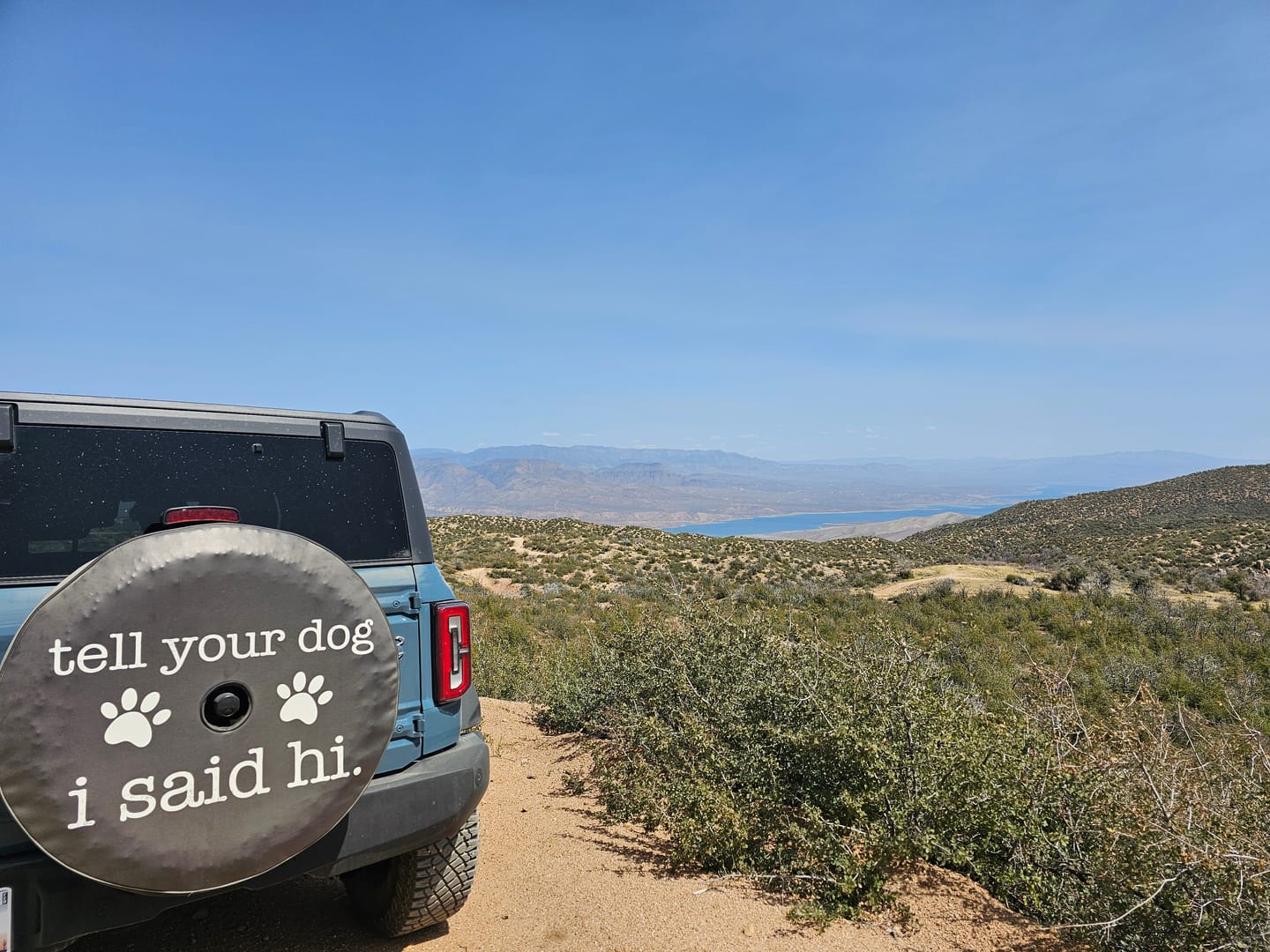 Customer photo review of Tell Your Dog I Said Hi - Spare Tire Cover for Campers, Jeep, Bronco, RV, & More