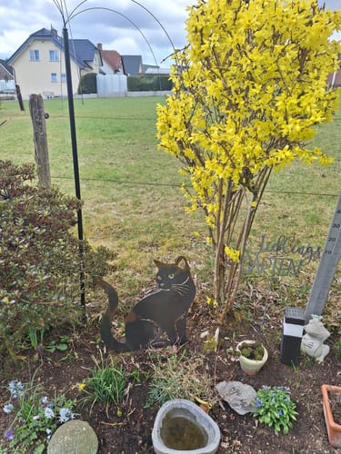 Customer photo review of Gartenstecker Katze sitzend