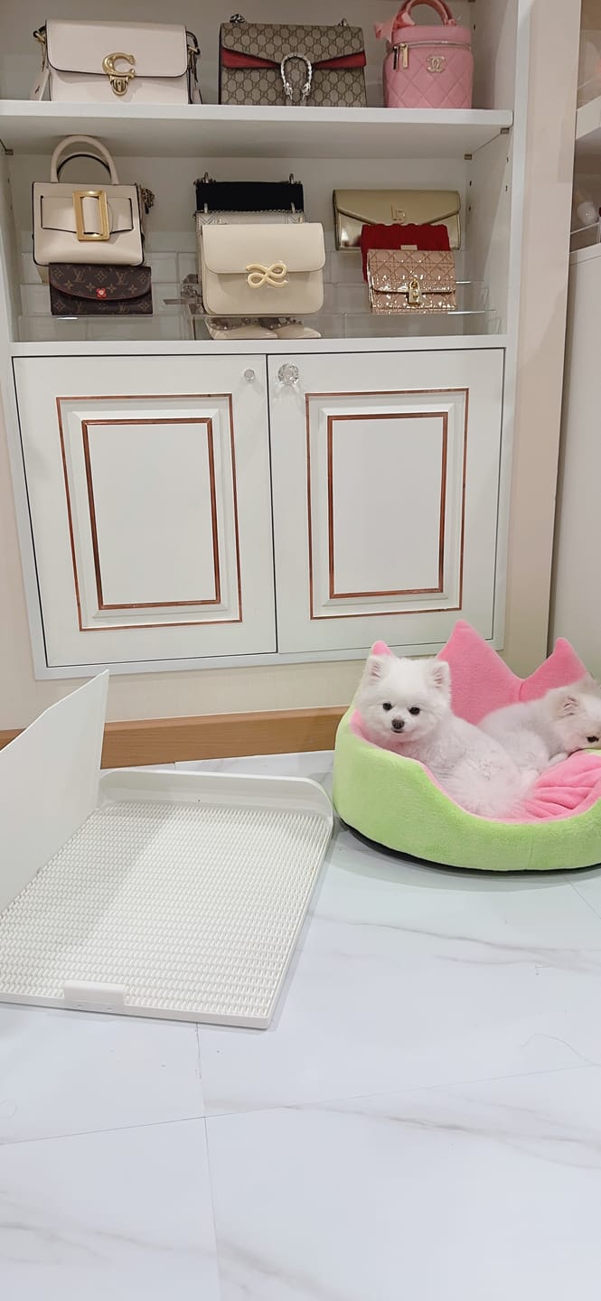 Customer photo review of Extended Protrusion Potty Pad (Size L)