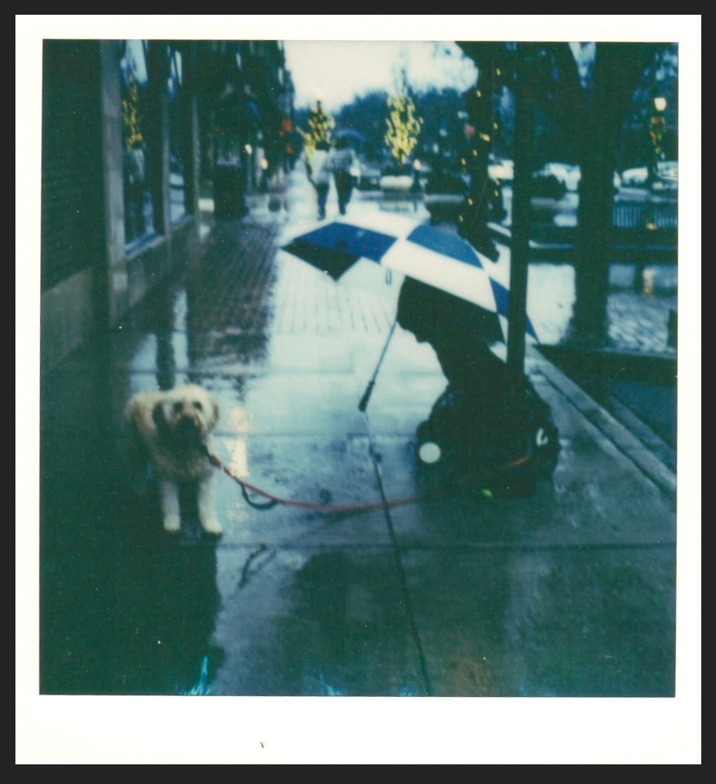 Customer photo review of Polaroid 600 Color Instant Film