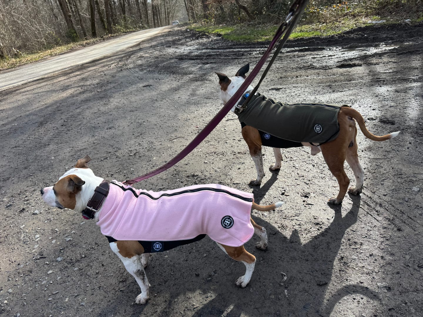 Customer photo review of Dog Fleece With Zip - Pink