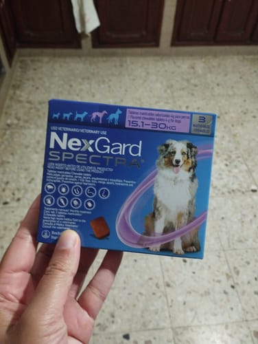 Customer photo review of Nexgard Spectra® 3 masticables