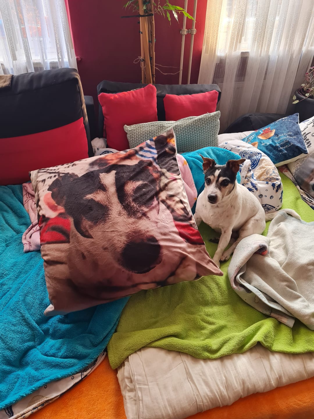 Customer photo review of Fotokissen - Individuelles Kissen