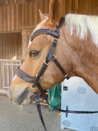 Customer photo review of Trense Midnight