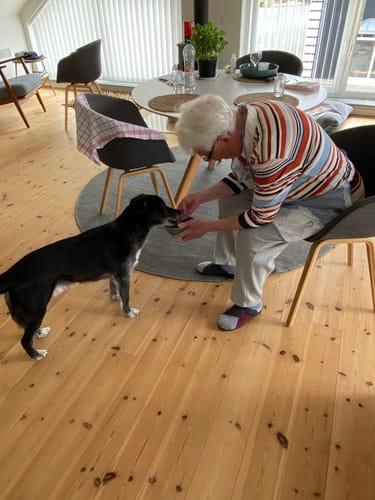 Customer photo review of Lucky Belly