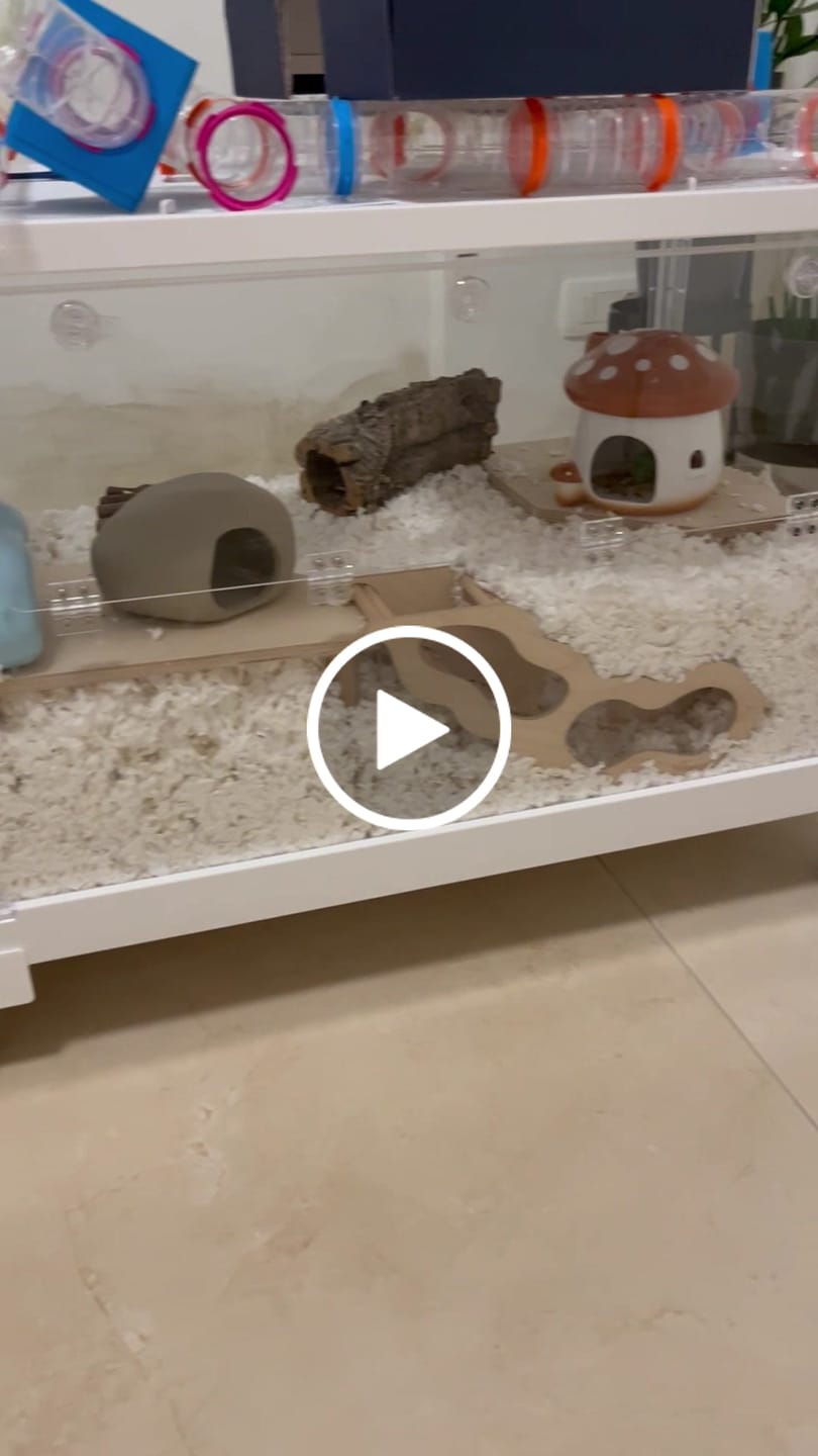 Customer video review of Niteangel Stacker Series Hamster Cage: - Stackable & Large Glass Terrarium (ca. 558 Sq In) for Hamster  or other Small-sized Pets