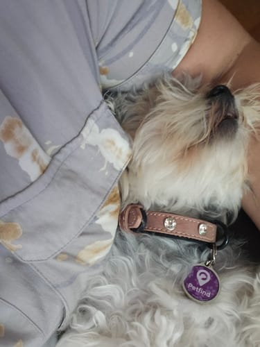 Customer photo review of Placa Morada